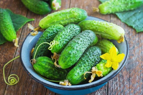 Which Country Produces the Most Cucumbers and Gherkins in the World?